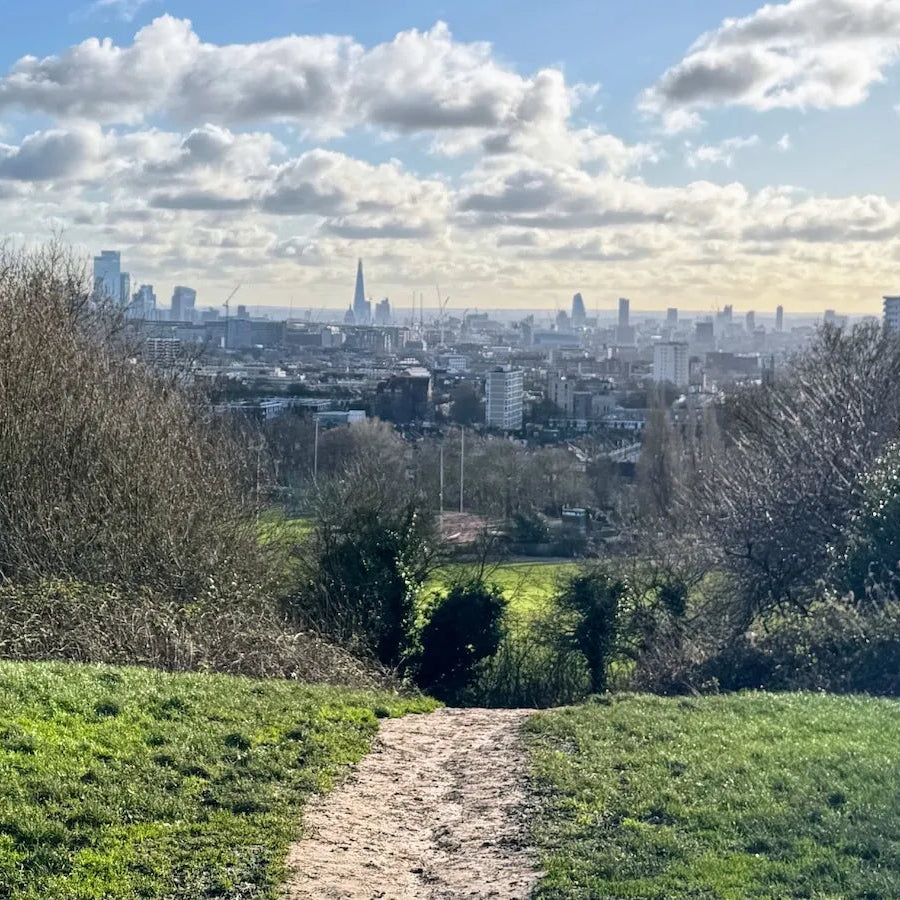 Hampstead Heath New Year Community Hike