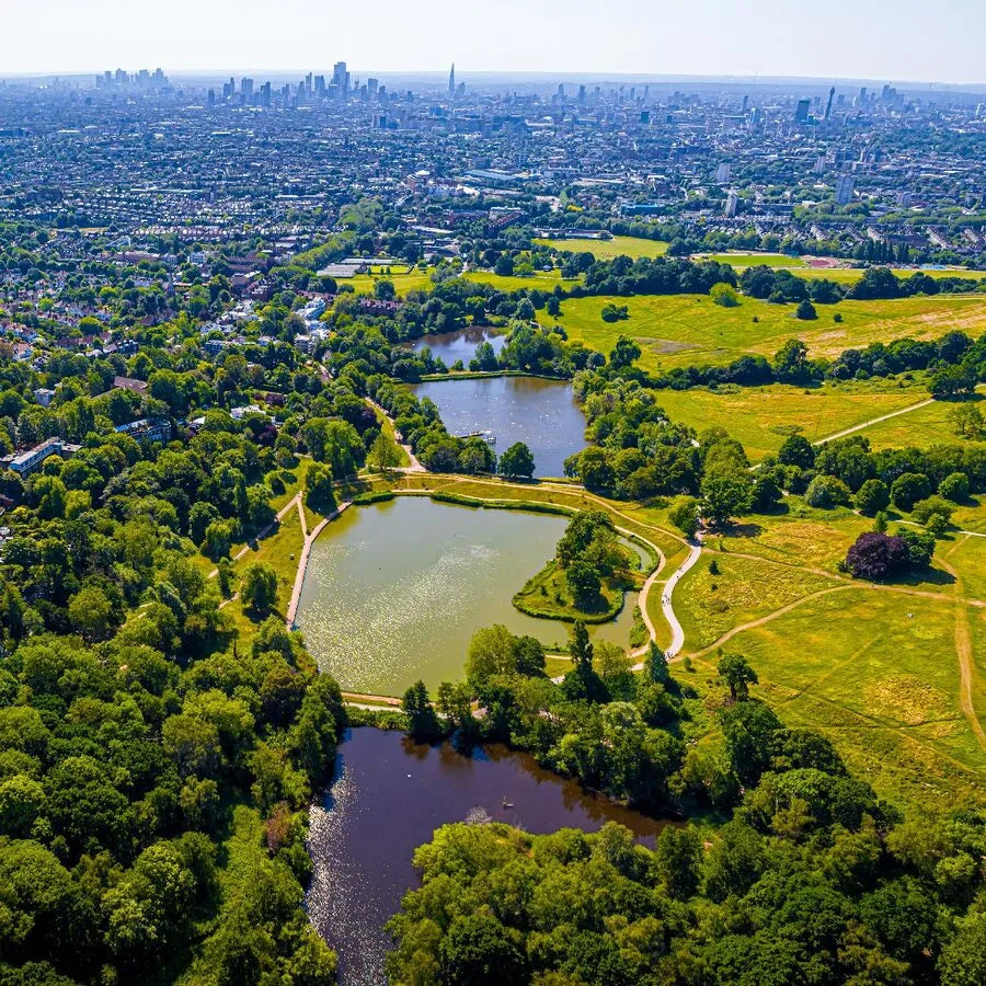 Hampstead Heath New Year Community Hike