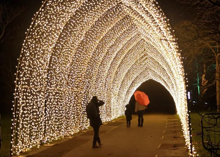 USVE Christmas Social at Kew Gardens