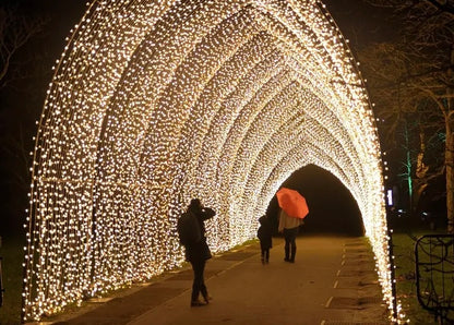 USVE Christmas Social at Kew Gardens