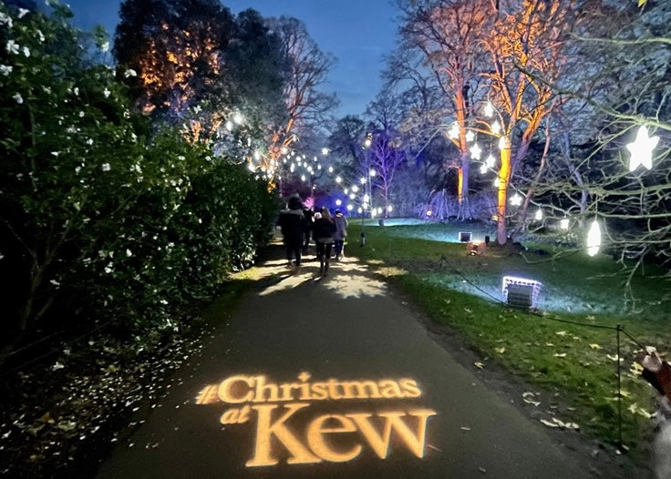 USVE Christmas Social at Kew Gardens