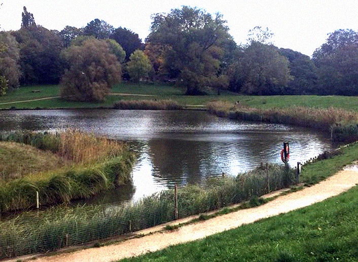 Hampstead Heath New Year Community Hike
