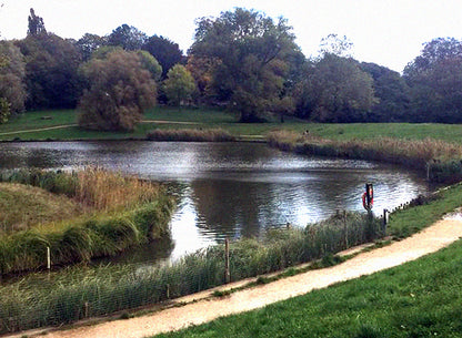 Hampstead Heath New Year Community Hike