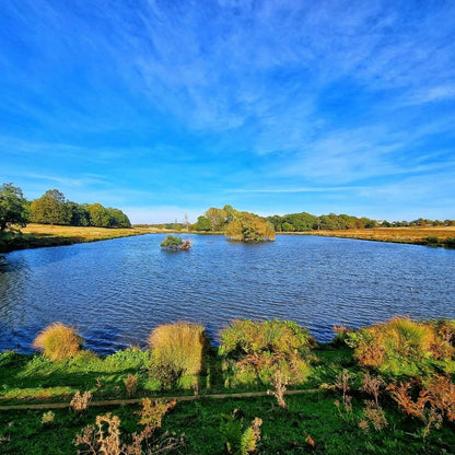 Richmond Park Mini Hike